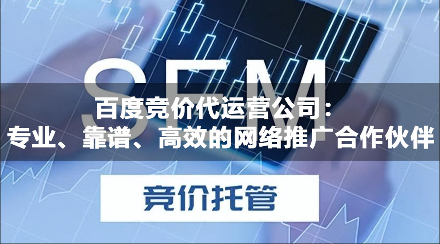 百度竞价代运营公司